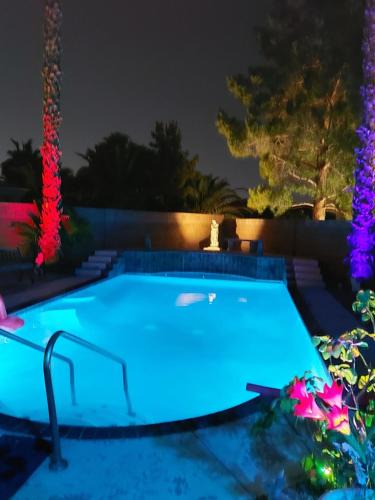 Paradise House | CATmosphere 2