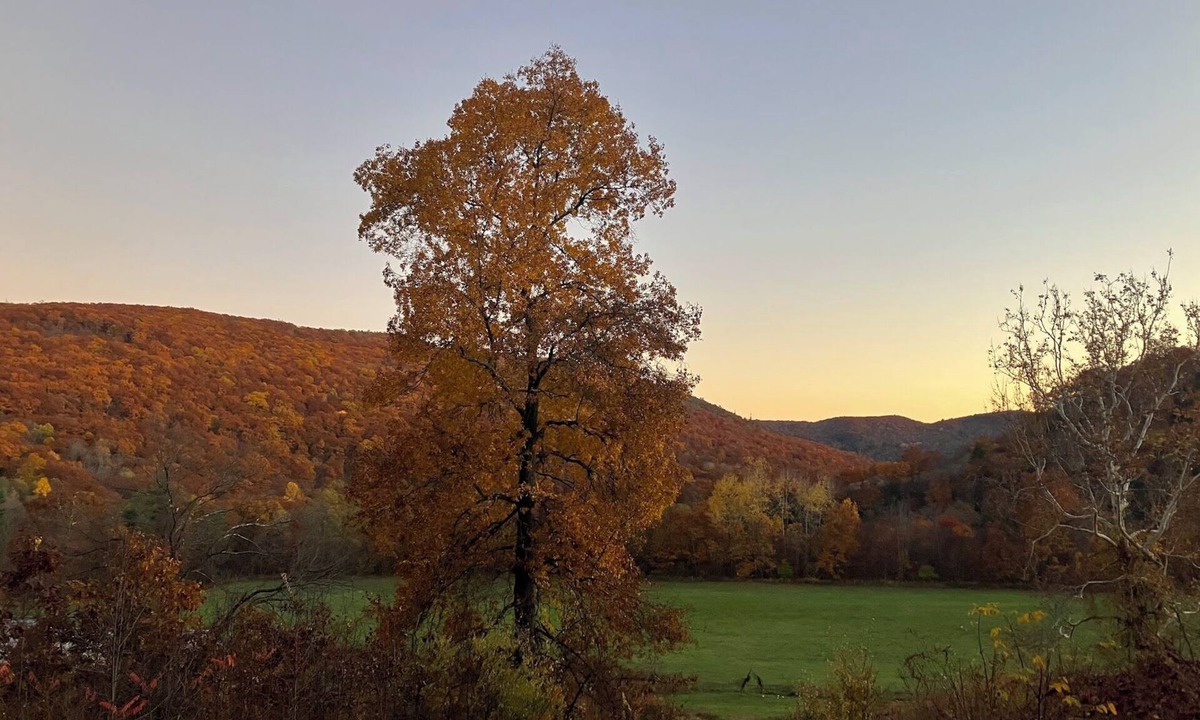 Montgomery House | Cozy 3-Bedroom Seasonal Rental on 32 Acres in Montgomery, MA