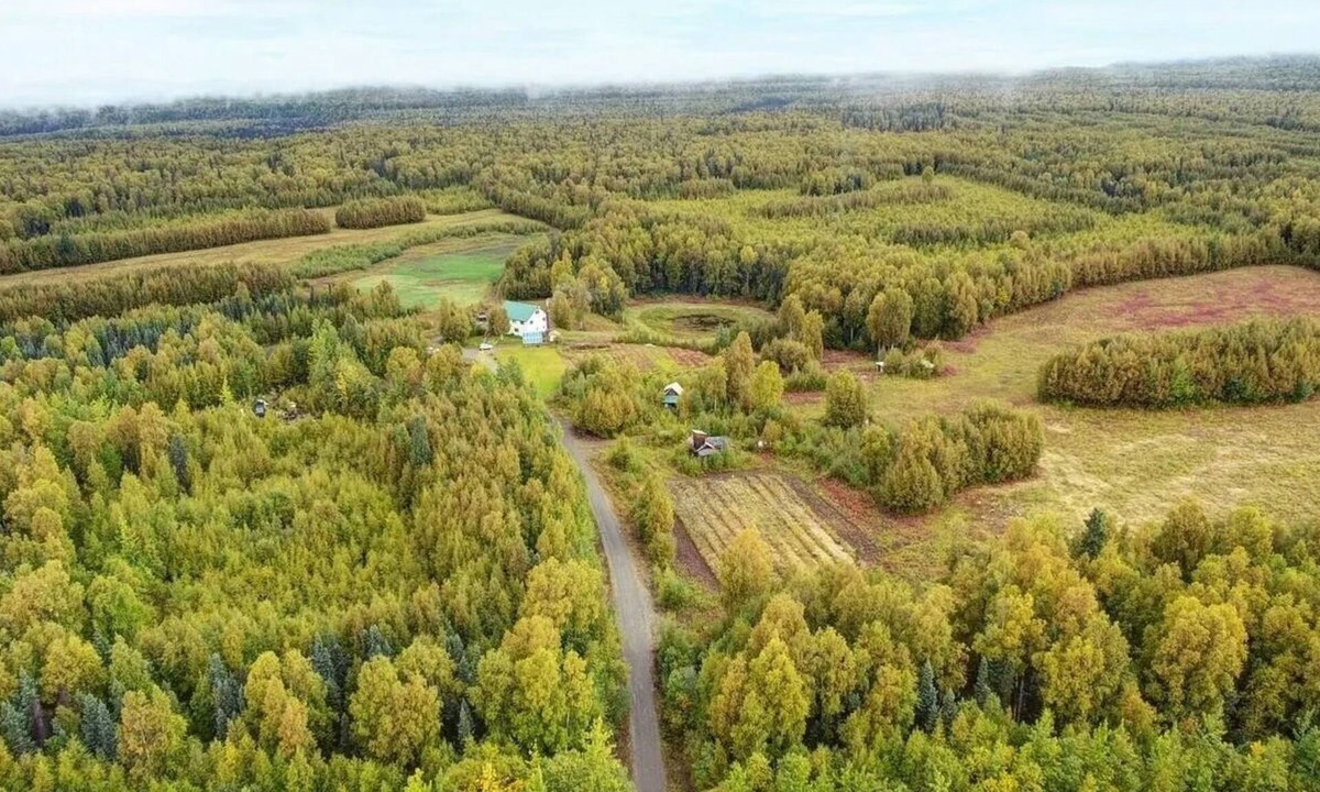 Talkeetna Bed & Breakfast | Falcon's Nest Bed & Breakfast