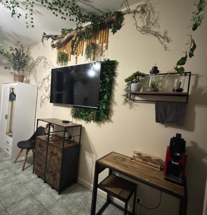 Reims City Centre Apartment | Le cocon