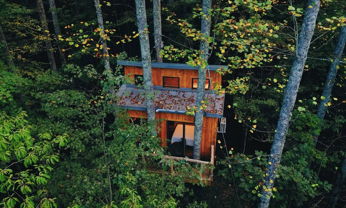 Zirconia Cabin | Parke's Stand- Treehouse