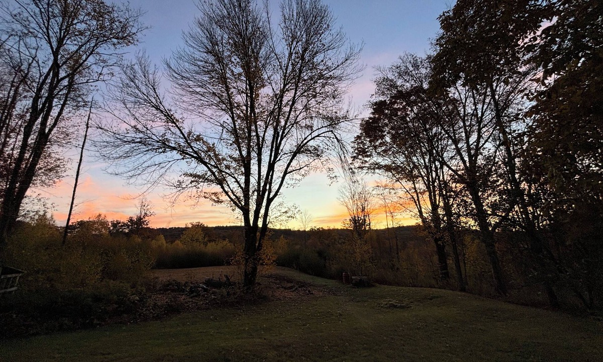 Royalston Cabin | Private 2-bedroom cabin on 75 acres in quaint Royalston for a relaxing stay