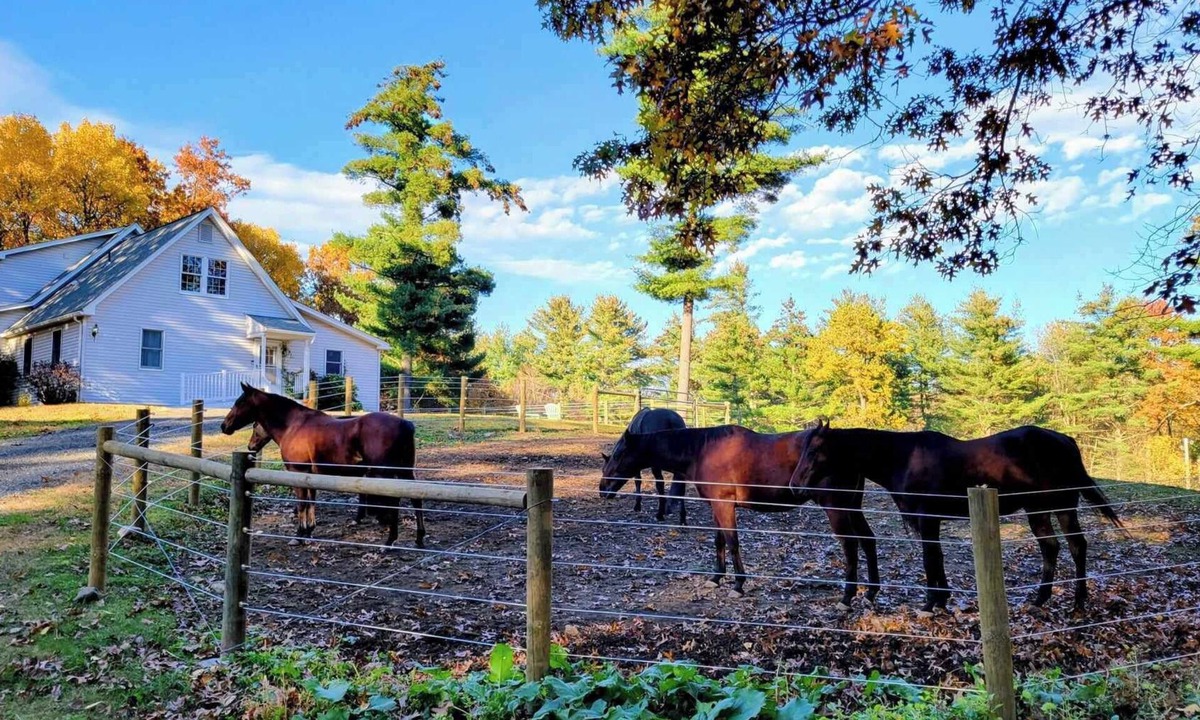 Belchertown Apartment | Serene 1-bedroom suite on 75 acre horse property