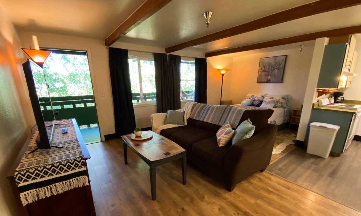 Midtown Anchorage Apartment | Sweet studio apartment with easy access to restaurants and highway