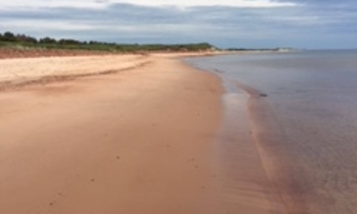 Saint Peters Bay Cottage | Tiny Perfect Cottage On PEI's North Shore