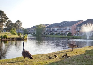 Beautiful 1 bedroom unit at resort, sleeps 6