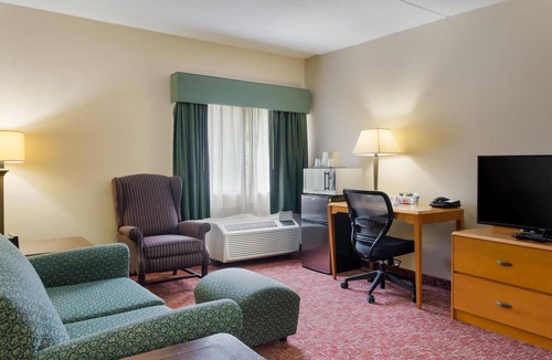Smithfield Hotel | 3 Rooms Perfect for Large Group or Family with Pets | Free Breakfast & Parking!