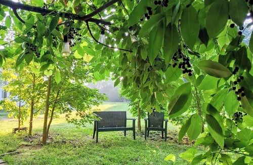 Lancaster RV Rental | A crackling campfire, a creek & deer outside your tent & we have a nature trail!