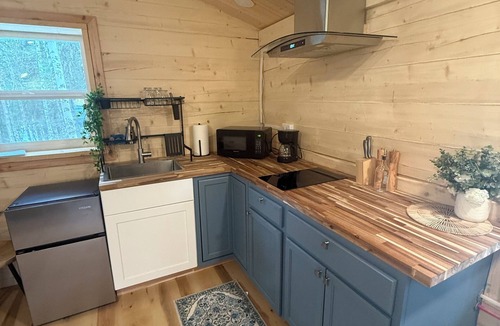 Fairbanks Cabin | Adorable Tiny Cabin with water and WiFi