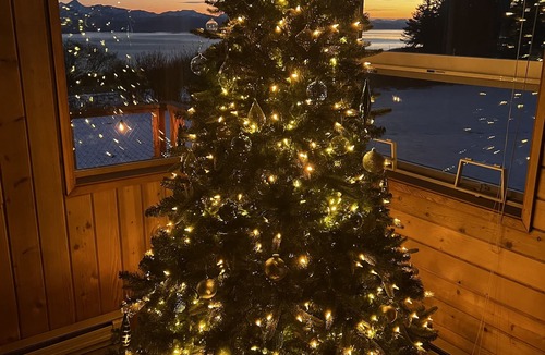Fritz Creek House | Aurora JEWEL: SERENE with panoramic STUNNING VIEWS, delightful FAMILY retreat