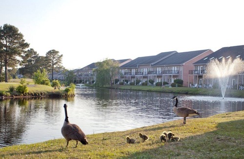 Surfside Beach Apartment | Beautiful studio unit at resort, sleeps 2