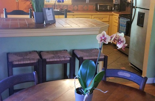 Saint Helena Island House | Best of Both Worlds, Price and Location
