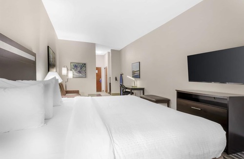 McDonough Hotel | Best Western Plus McDonough Inn & Suites