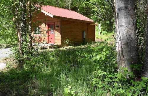 Talkeetna Cabin | Birch Cabin