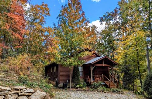 Cullowhee House | Boat Dock + Fire Pit! Woodsy Lake Glenville Cabin