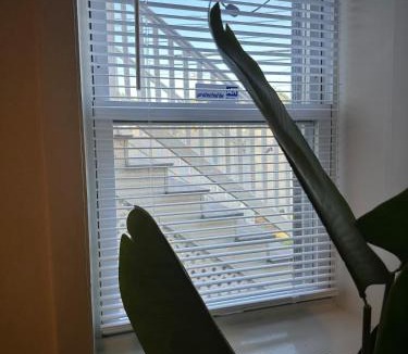 Waban Apartment | Convenient 1 BR Apartment with Private Basement Entrance - 5 min to Green Line T Station & Newton Wellesley Hospital at Newton Boston