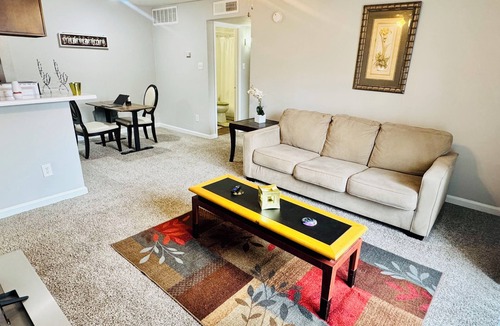 Astrodome Apartment | Convenient Cozy 1-BR apartment, close to downtown, NRG, fine dining, Med Ctr