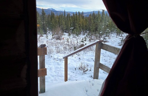 Healy Cabin | Cozy 2-bedroom cabin in lovely Healy with WiFi.