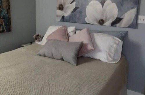 Tobin Hill Apartment | Cozy Converted Carriage Guest House in Yropical Garden