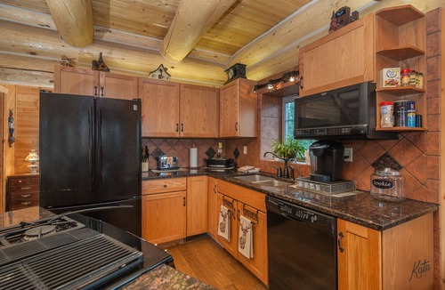 Healy Cabin | Denali only 17 miles away! Grill, washer & dryer, jacuzzi bathtub with a view