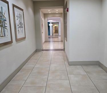 Texas Medical Center Apartment | Domain at Kirby