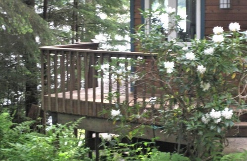 Juneau House | Eagles Watch Ocean Front B and B, Auke Bay, Juneau CBJ 1000195
