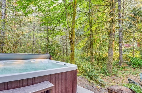 Lake Lure Cabin | FREEnite w/ 4 JUNE- Large Private LogHome/ HOTTUB Game rm/lake/hiking/pet/beach