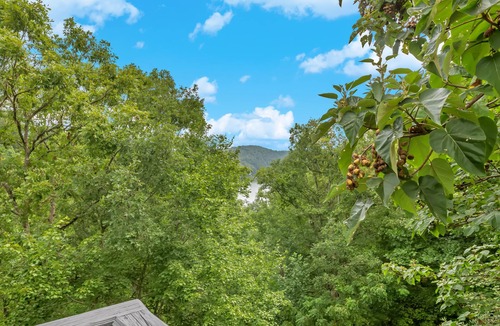 Almond House | Lake View of Fontana Lake close to Great Smoky Mountains and Tail of the Dragon