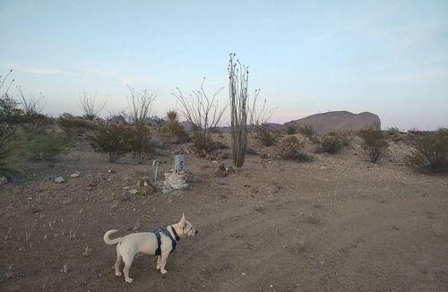 Study Butte-Terlingua RV Rental | Longhorn Ranch Motel - RV Park with Power and No Sewer