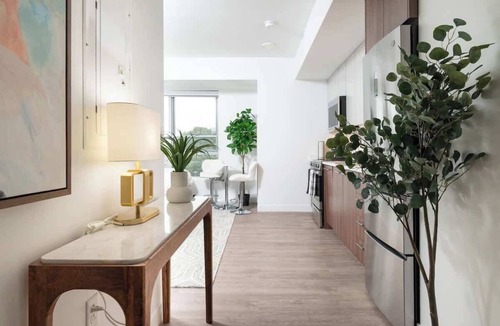 Central Square Apartment | Luxury Studio with King bed Gym near MIT Harvard in Central Square!