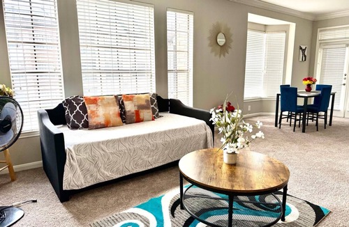 Texas Medical Center Apartment | Med NRG 2BDR 2Bth 2 KgBD DT Zoo Galleria Pool 4KTV