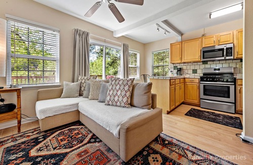 Bat Cave Cabin | Mountain & River Views, Cute Getaway - Southfork Cottage by Carolina Properties