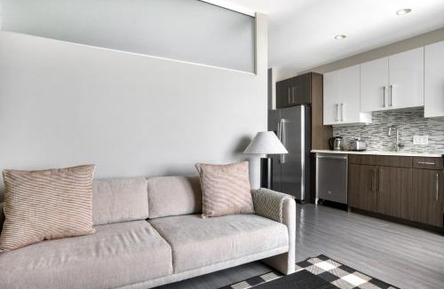 West End Apartment | N Station Studio w WD Gym nr TD Garden BOS-707