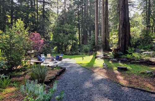 Fort Bragg House | Pacific Redwood Hideaway - Pristine forest, luxurious, private and pet friendly