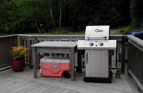 Seaside Cabin | Peaceful cabin, large deck, fire pit, pond, creek, dog friendly, close to town.