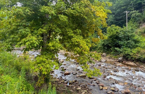 Cruso House | Riverfront Home w/Mtn Views, Near Blue Ridge Pkwy