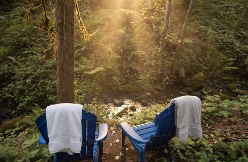 Cedar Hills House | Sasquatch's Tiny Treehouse on creek - old growth forest in Portland - ADVENTURE!