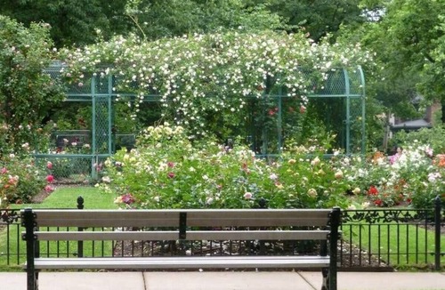 North Brookline Apartment | Shared Apartment Private Room: BU, Longwood/Harvard Medical, Fenway
