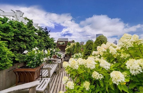 Beacon Hill Apartment | Stunning Rooftop Apartment & Garden Deck
