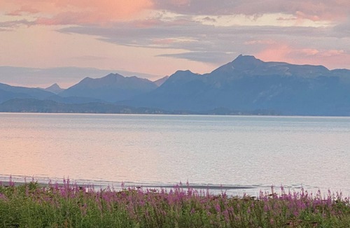 Homer Cabin | The Lookout Lodge on Bishop's Beach with Spectacular views of Kachemak Bay!