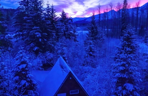 Bear Creek Apartment | Unique stay just outside of Seward, AK