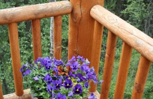 Soldotna Ski Chalet | Wilderness setting yet only minutes from Soldotna Alaska and Kenai River