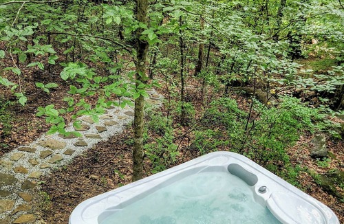 Abbeville Cottage | Wilewood A-Frame Secluded/Romantic Hot Tub/Cold plunge