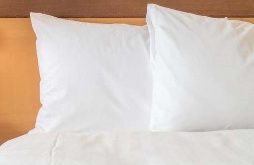 Spenard Hotel | Wyndham Garden Anchorage Airport