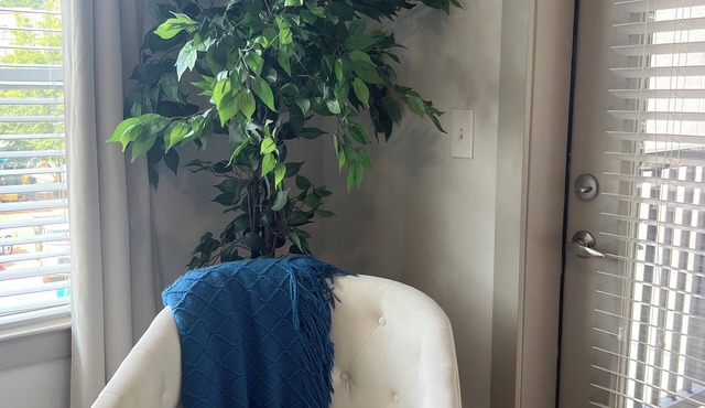 2 Bedroom- 2 Bath Boutique Apt