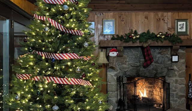 2 BR, 2 BA rustic mountainside cabin - winter availability and no cleaning fee! in Deep Gap