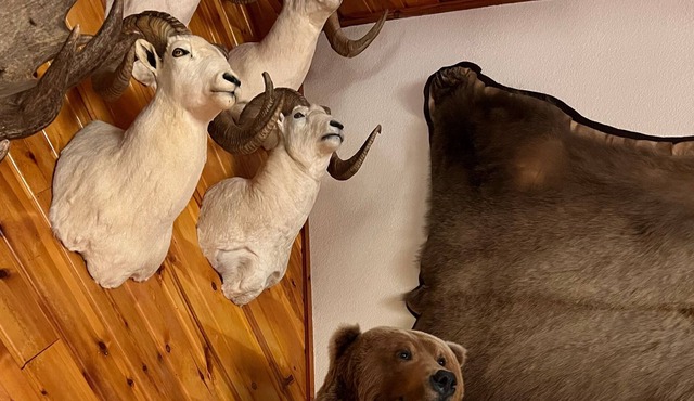 5 BR Alaska Trophy Lodge