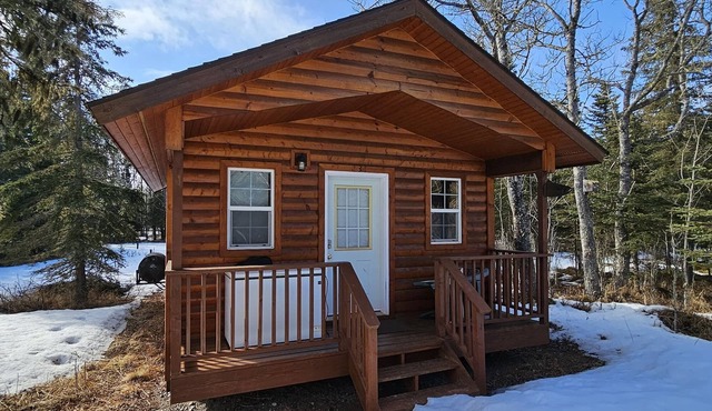 Alaska Summers Lodge Cabin 3-Near Mouth of Kasilof River