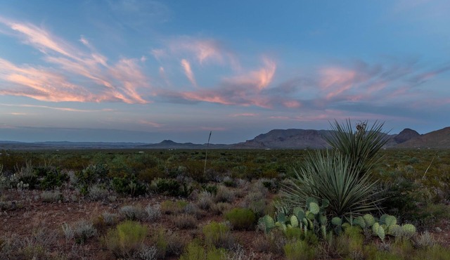 ALMA RANCH ~ ALMA 1~