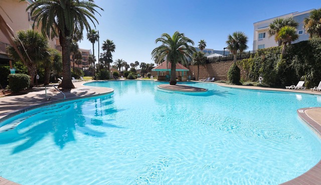 Amazing Beach Condo w/top floor views, pools(1 heated), pet friendly
